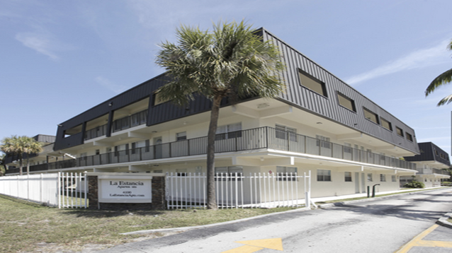 a white building with a palm tree in front of it