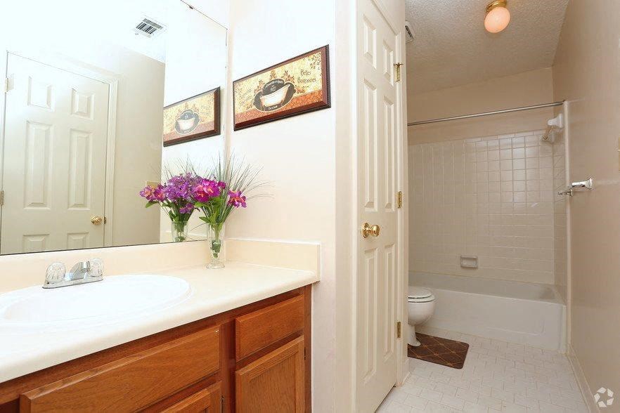 a bathroom with a sink and a toilet and a mirror