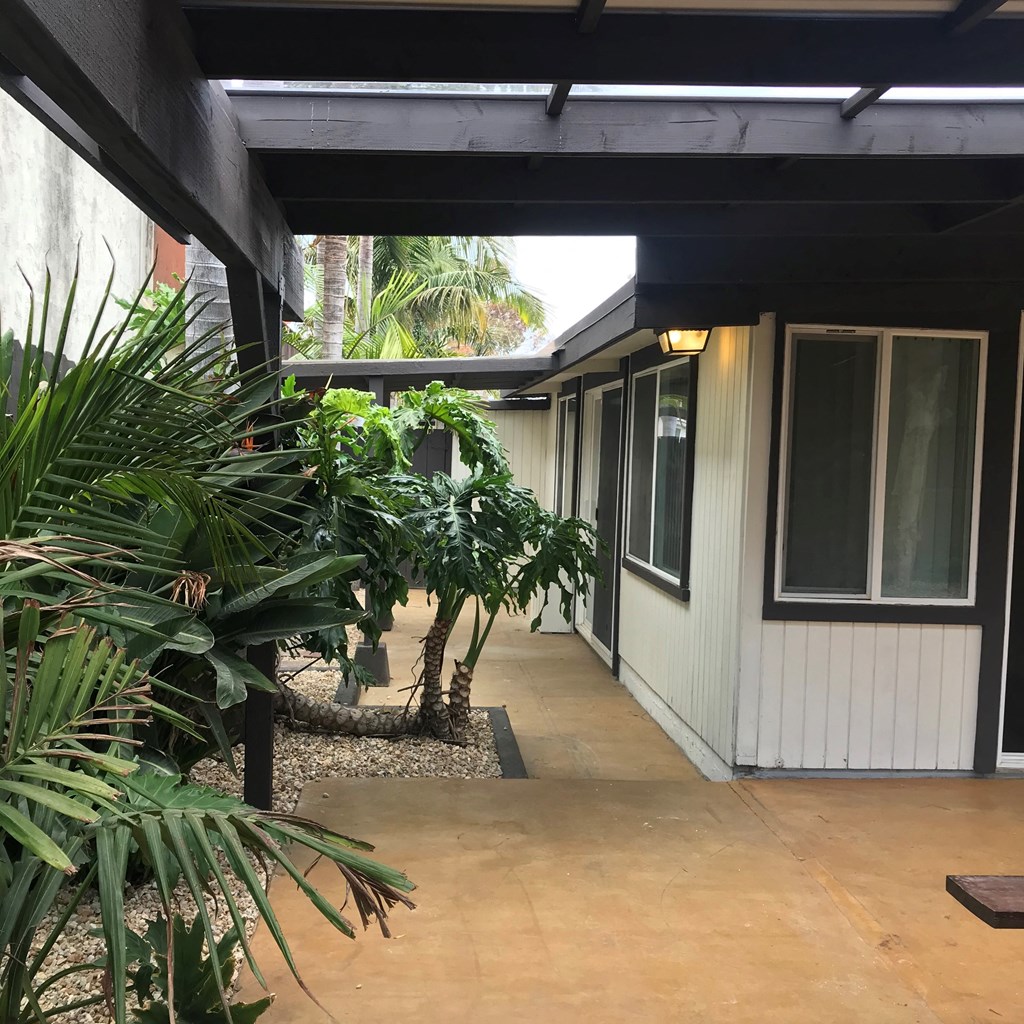 a view of the outside of a house with a walkway and plants