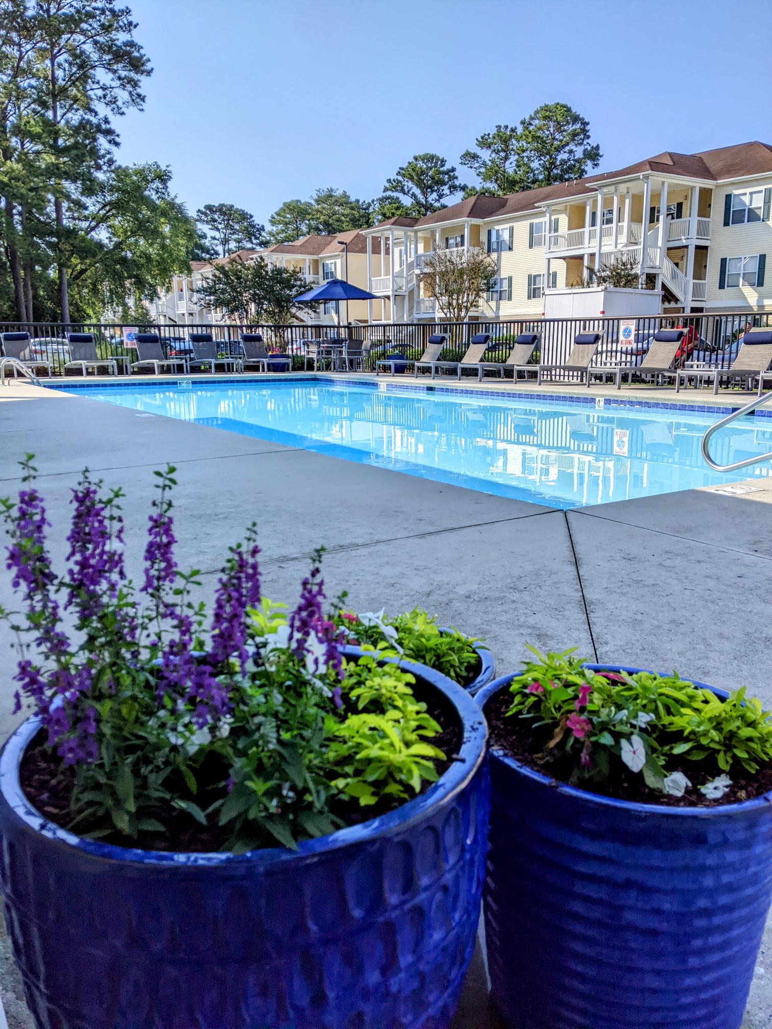 two potted plants next to a pool in front of an apartment building