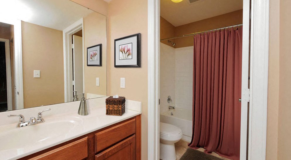 a bathroom with a sink and a shower and a toilet