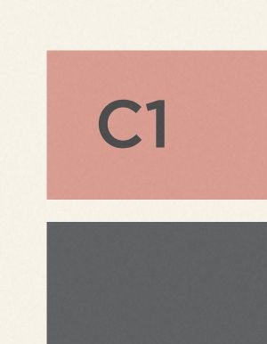 C1.1