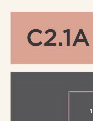 C2.1a