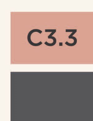 C3.3
