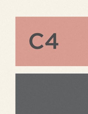 C4.1