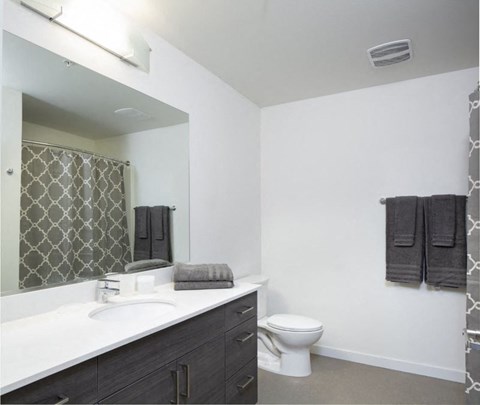 a bathroom with a sink and a toilet and a mirror