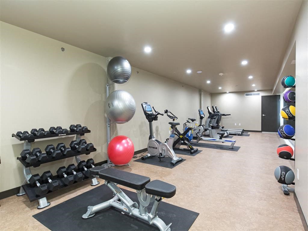 the gym is stocked with weights and other exercise equipment