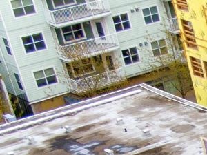 4726 11th Avenue NE 1-2 Beds Apartment for Rent - Photo Gallery