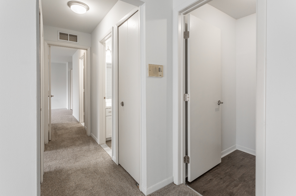 a corridor with white walls and white doors and a carpeted floor
