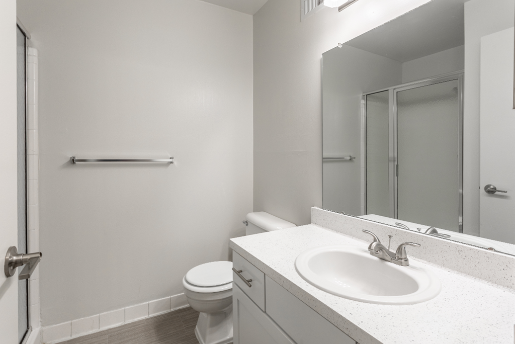 a bathroom with a sink and a toilet and a mirror
