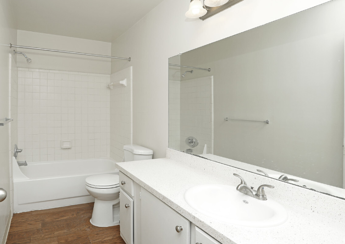 a bathroom with a sink and a toilet and a bath tub
