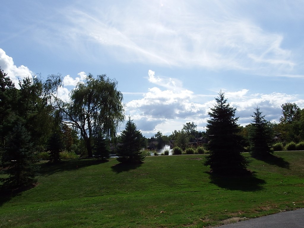 a park with trees and grass and a body of water