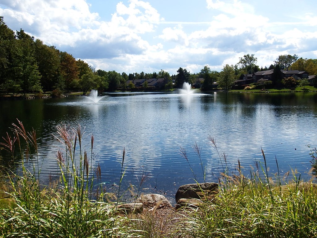 a pond with fountains in the middle of it