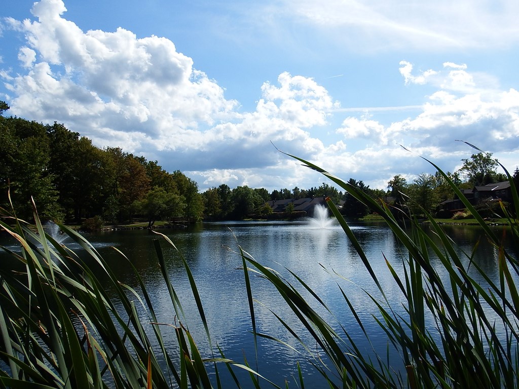 a lake with a fountain in the middle of it