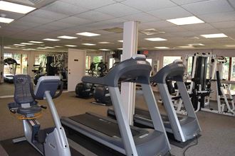 the gym is equipped with a variety of exercise equipment