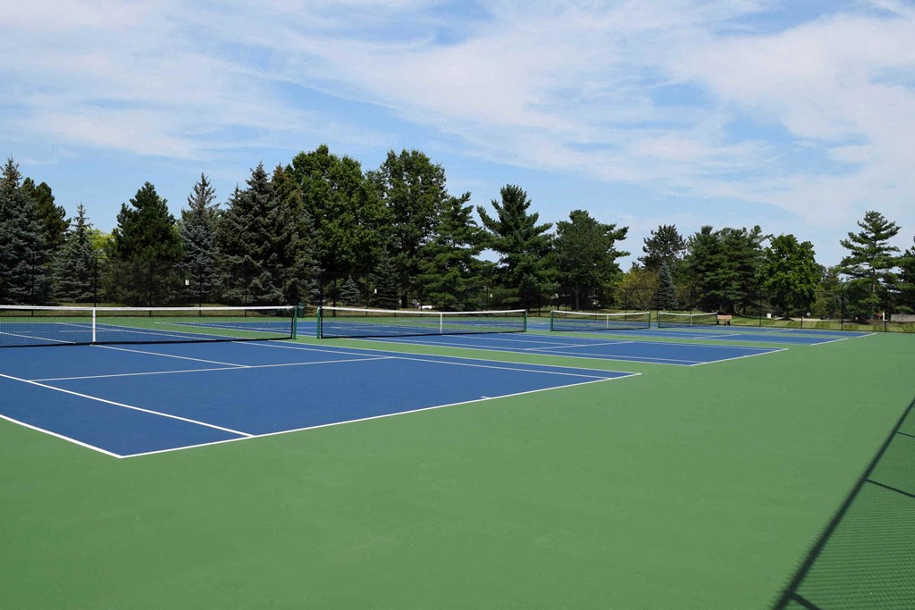 two tennis courts with trees in the background on a sunny day