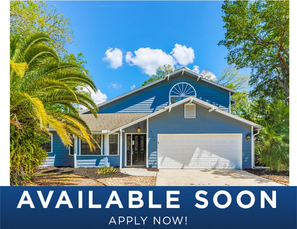 a blue house with a palm tree