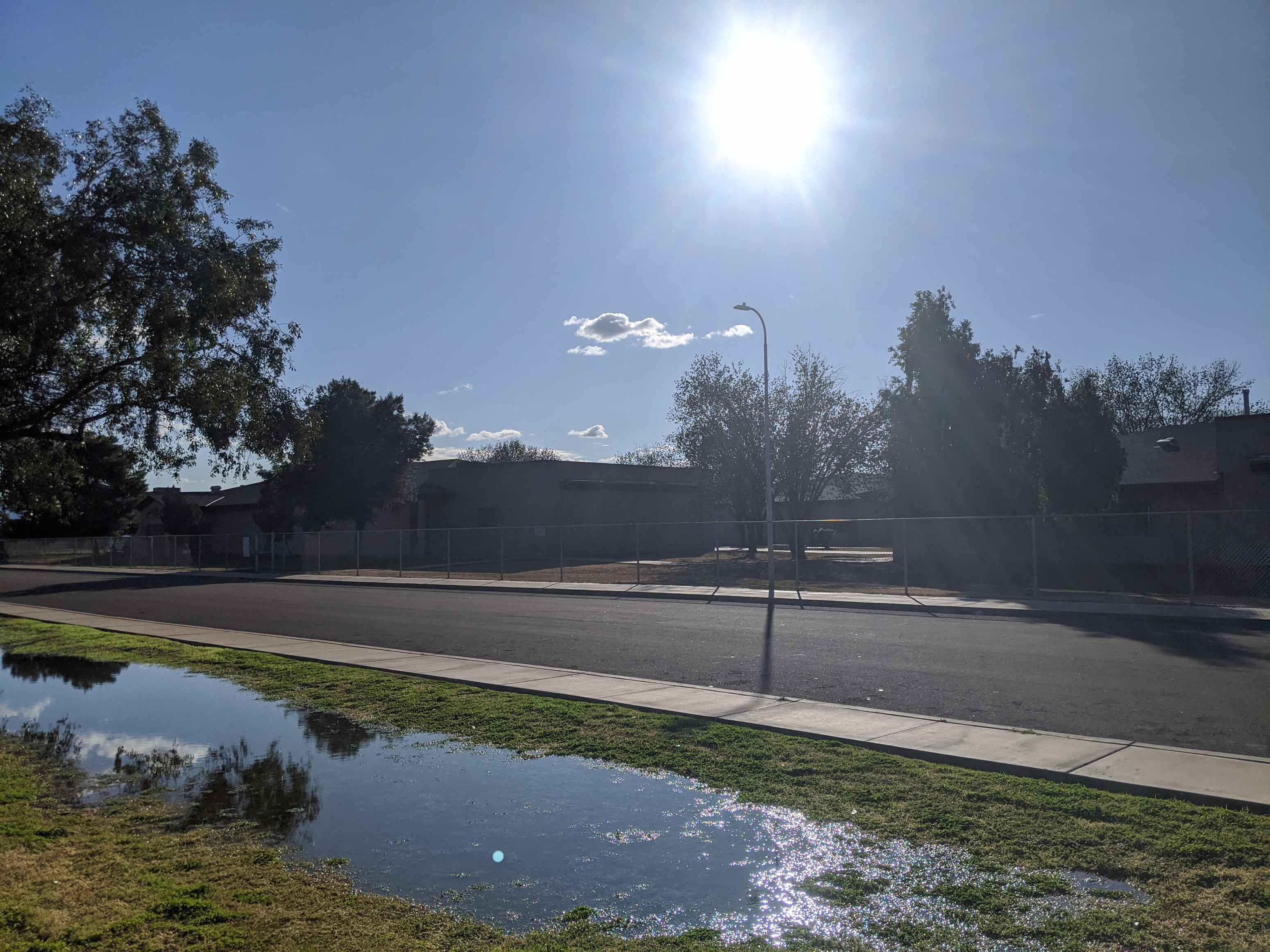 A sunny day with a puddle on the sidewalk.