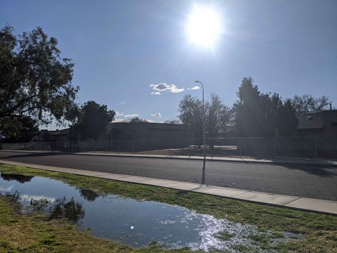 A sunny day with a puddle on the sidewalk.