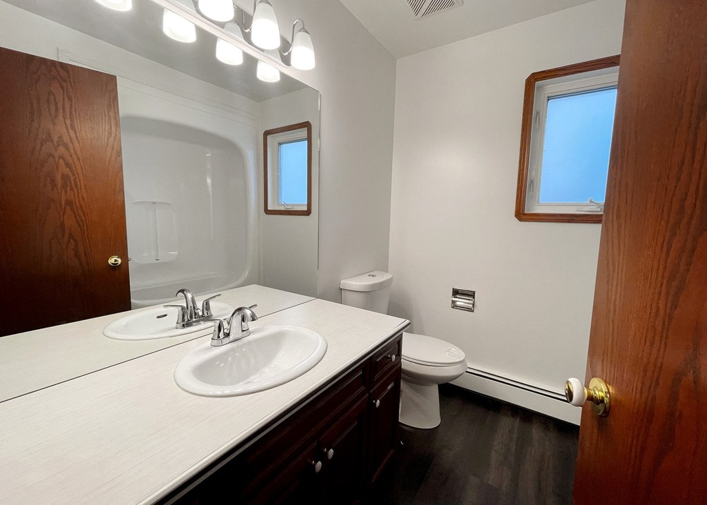 a bathroom with a sink and a toilet