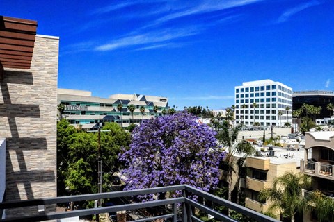 a view of the city from a balcony with a purple tree