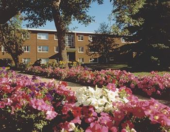 Edmonton Ab Apartments For Rent Rentcaf 233