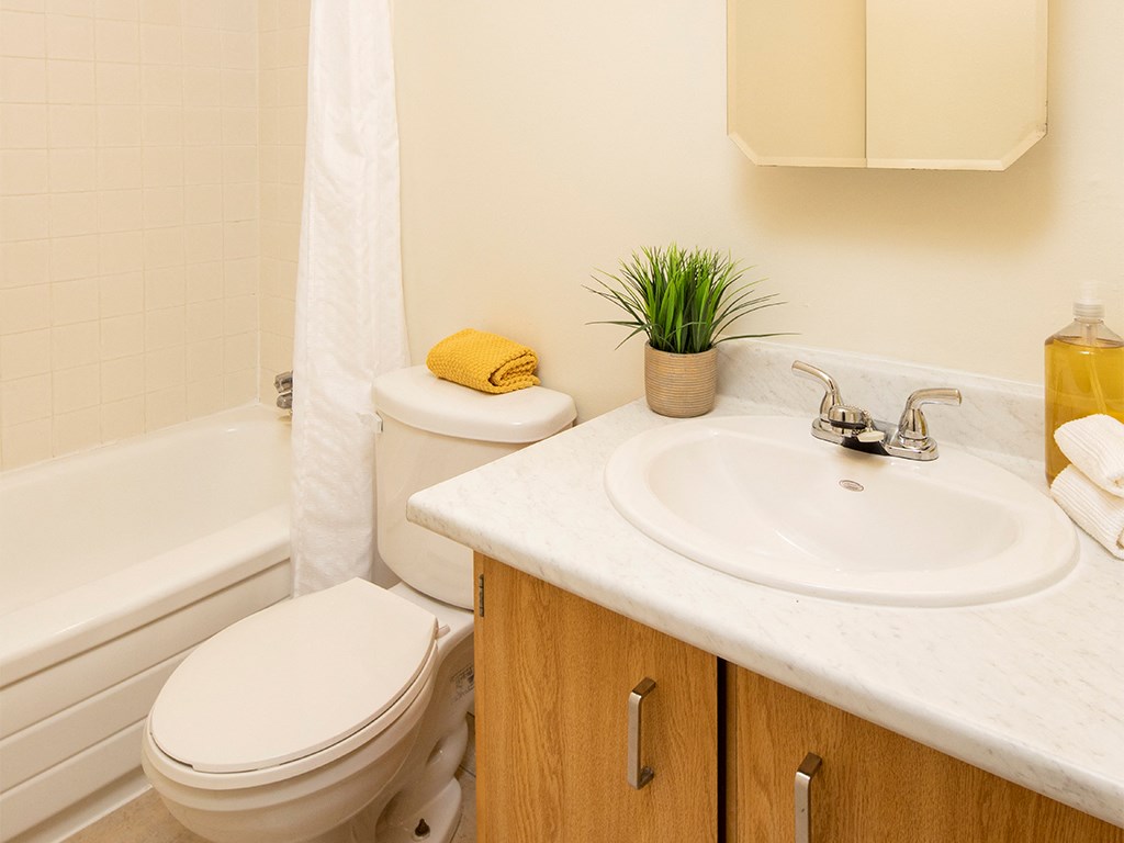 a bathroom with a toilet and a sink and a bath tub