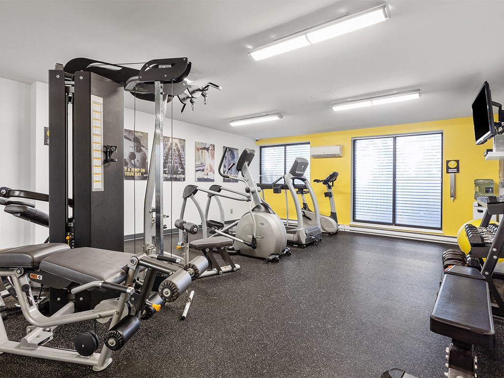 a gym with cardio machines and weights on the floor