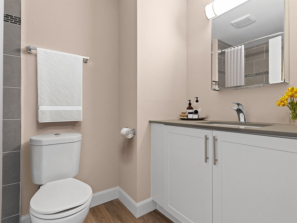 a bathroom with a toilet and a sink and a mirror