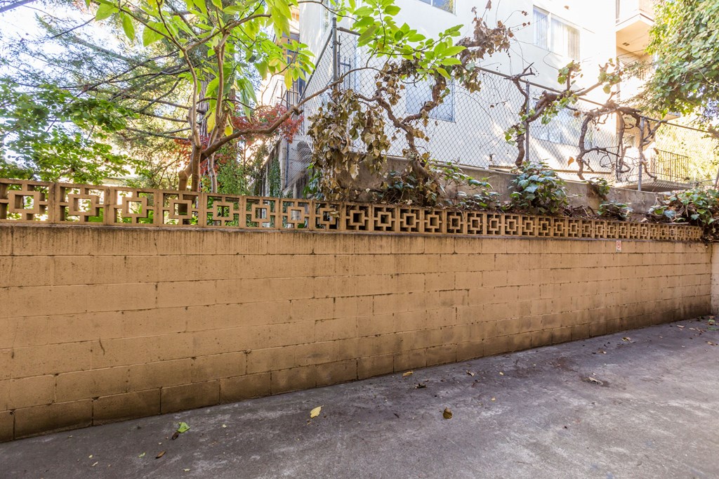 A wall with a decorative border and a tree in front of a building.
