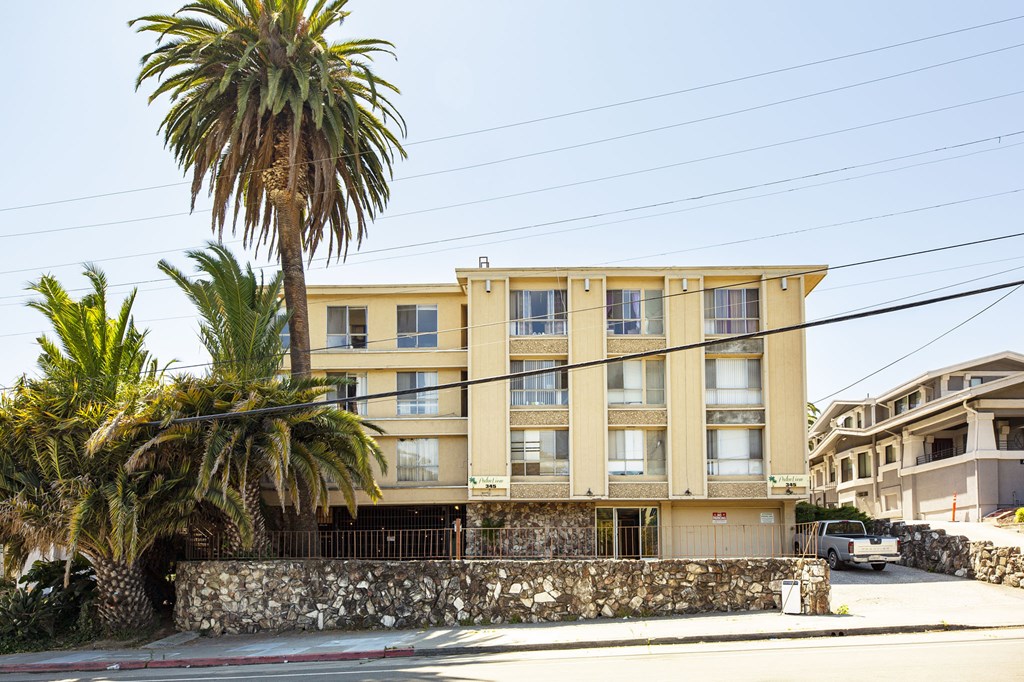 A building with a palm tree in front of it.