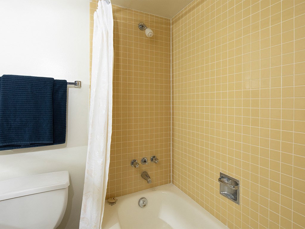 a bathroom with a shower and a toilet