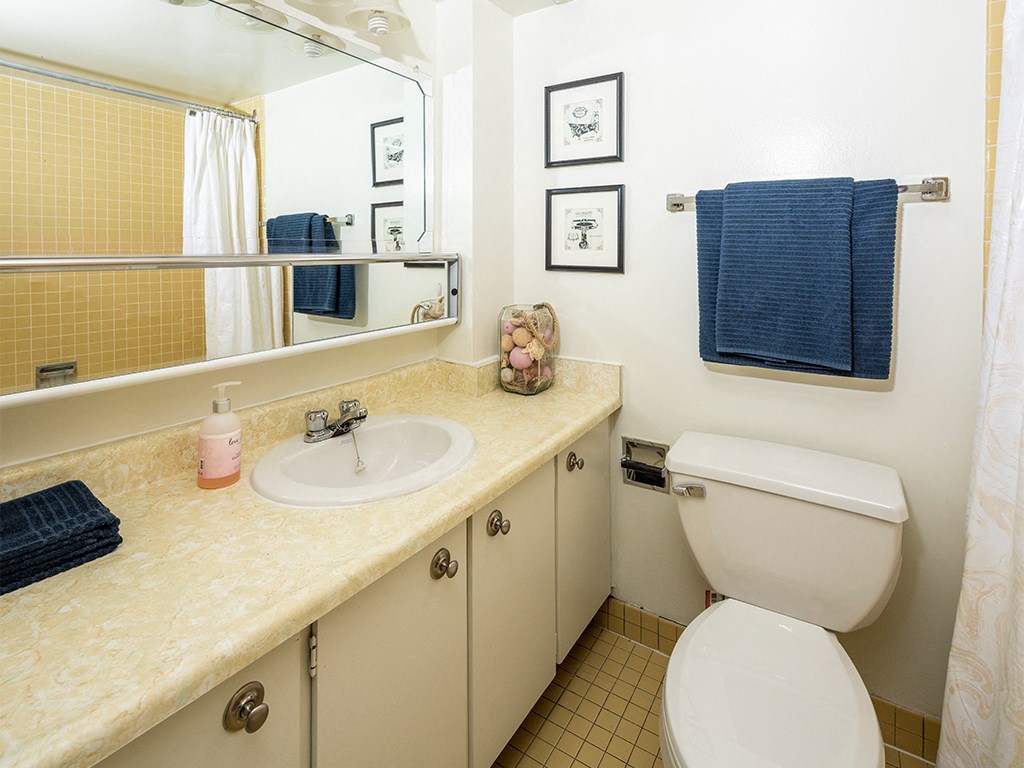 a bathroom with a sink and a toilet and a mirror