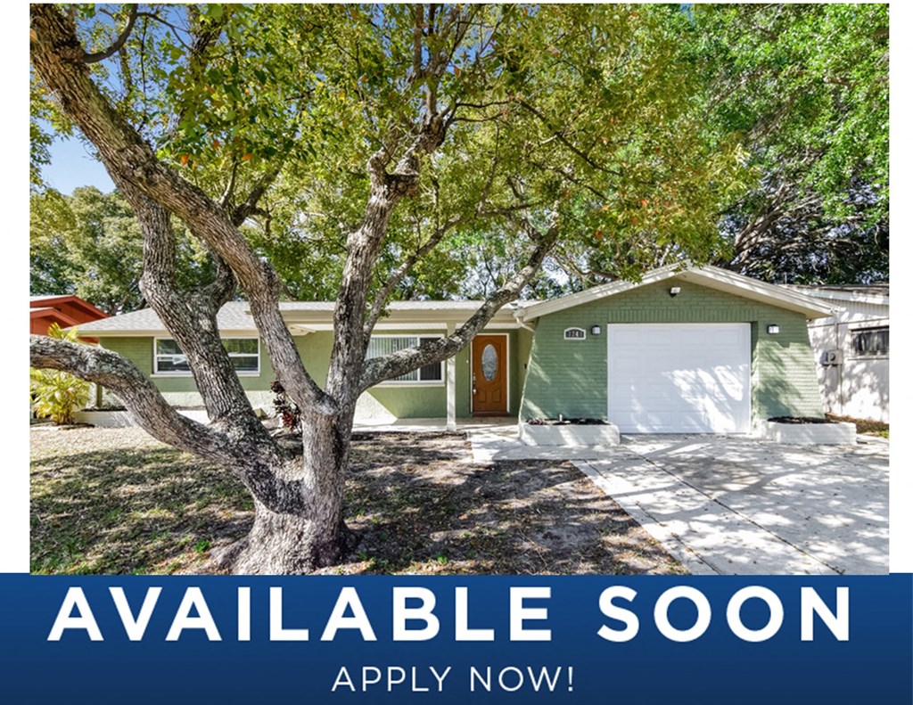 a small green house with a tree in front of it