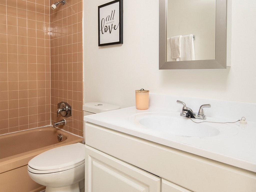 a bathroom with a sink and a toilet and a tub