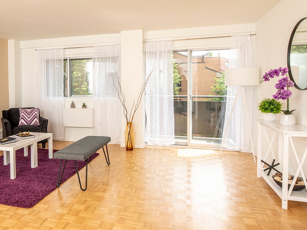 a living room with a purple rug and a window