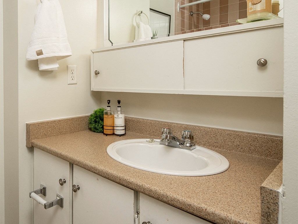 a bathroom with a sink and a mirror
