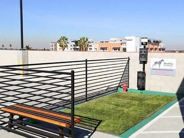 a bench sitting on a patch of grass next to a fence