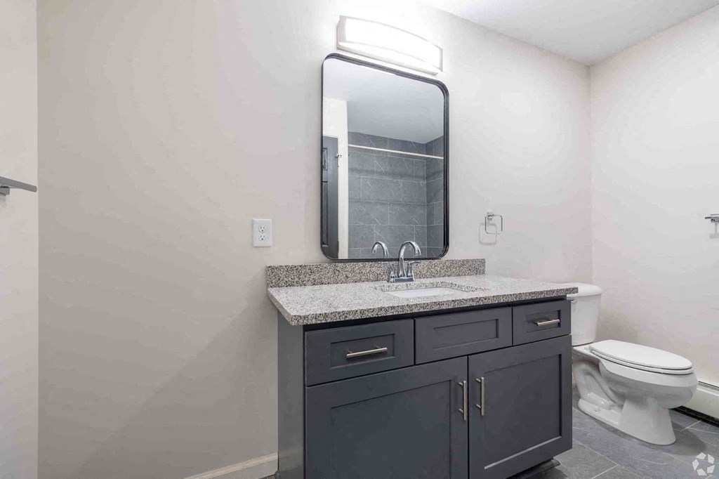 a bathroom with a sink and a toilet and a mirror