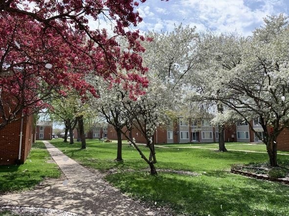 a sidewalk and trees in front of a building
