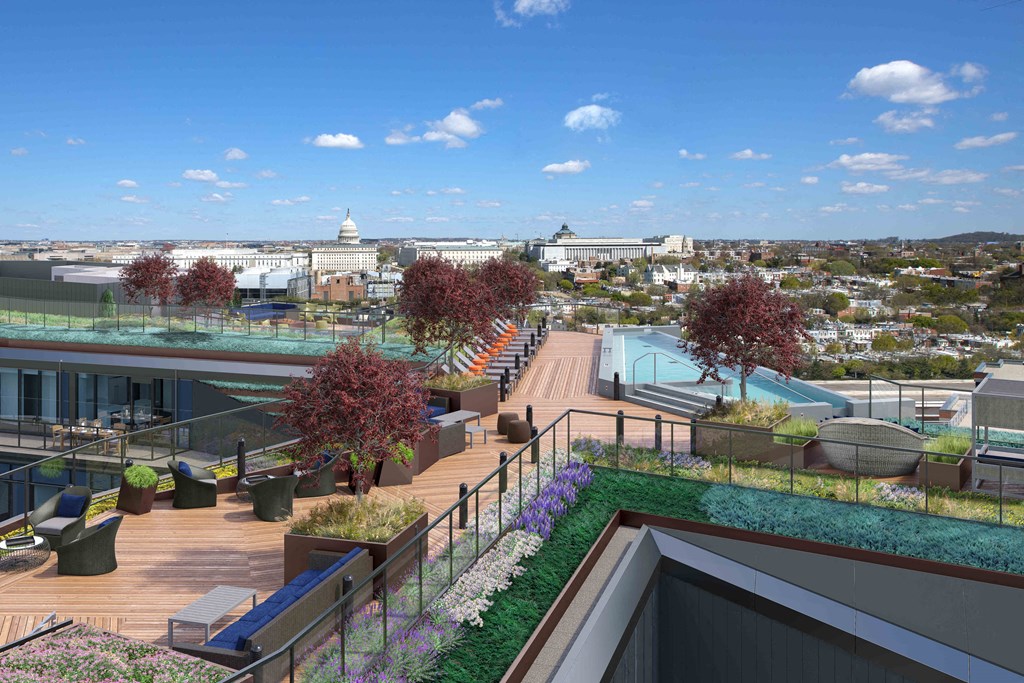 a roof top terrace with a pool and plants