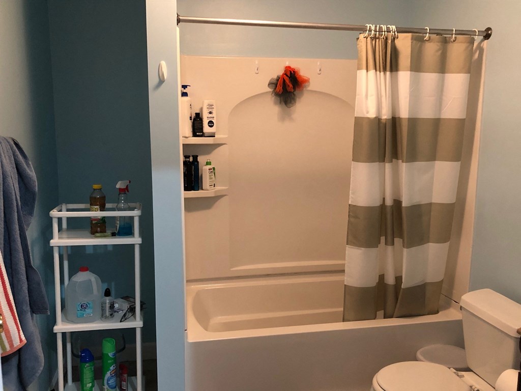 a bathroom with a shower and a toilet and a shower curtain