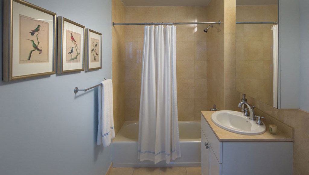 Bathroom with tub shower combo and single vanity