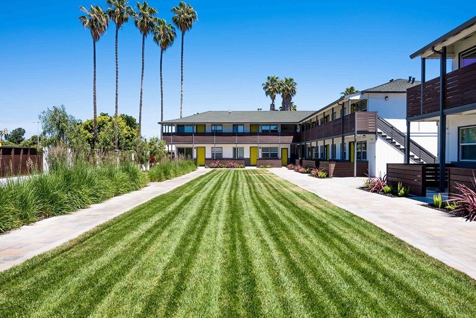 a large lawn in front of a house with palm trees