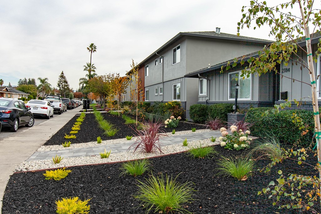 the front yard of a house with a landscaped yard and sidewalk