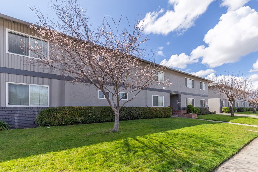 the front of a house with a lawn and a tree
