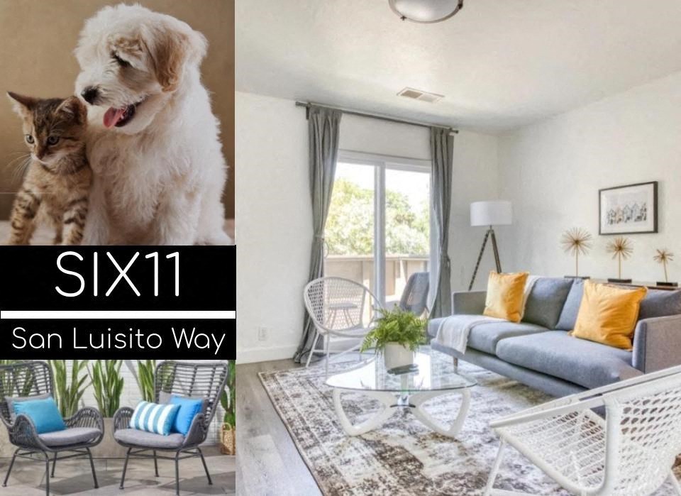 two pictures of a living room and a cat and a dog