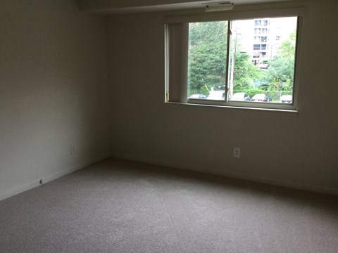 A room with a window and a carpet floor.