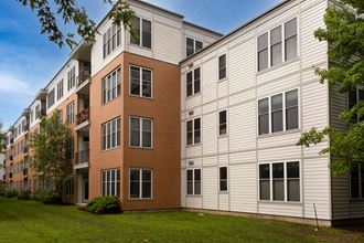410 Farrell Street Unit 408 2 Beds Apartment for Rent
