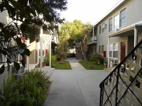the walkway between the apartments is lined with palm trees